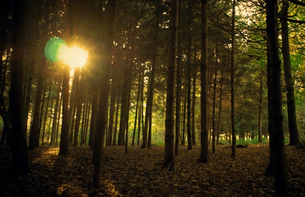 Manu Pineda - Mientras